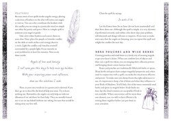 Wiccapedia Journal: A Book of Shadows-2