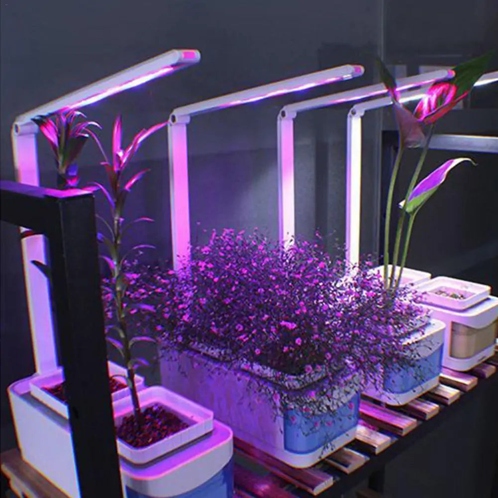 Hydroponic Indoor Herb Kit