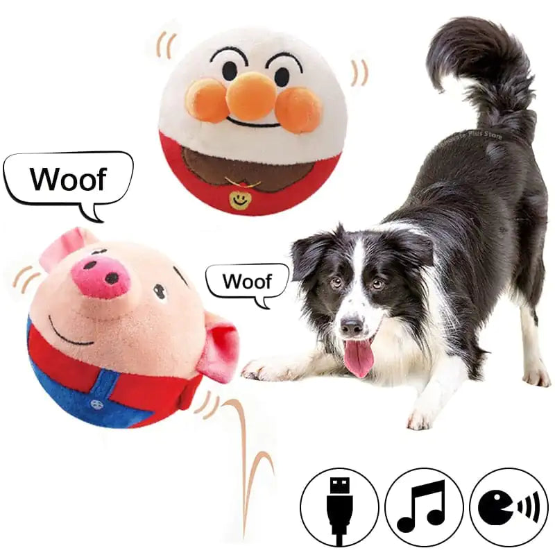 PetPalz: Interactive Talking Ball For Pets